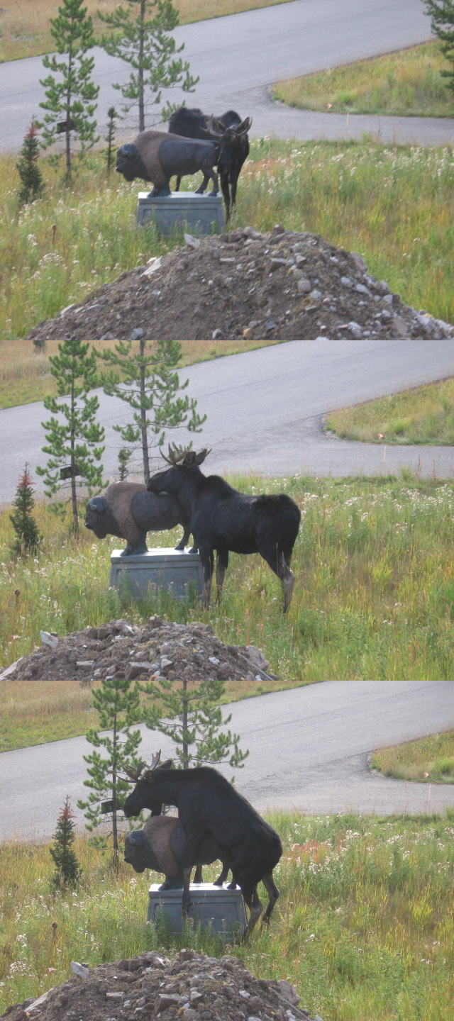 Canada meets America